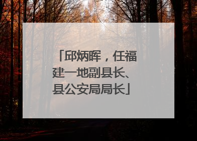 邱炳晖，任福建一地副县长、县公安局局长