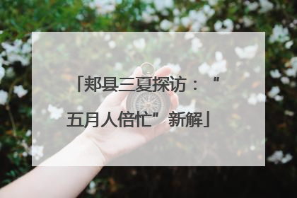 郏县三夏探访：“五月人倍忙”新解