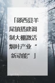 郧西县羊尾镇搭建调制大棚激活烟叶产业“新动能”