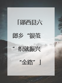 郧西县六郎乡“银茧”织就振兴“金路”