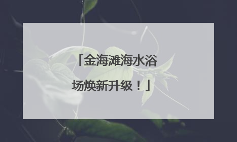 金海滩海水浴场焕新升级！
