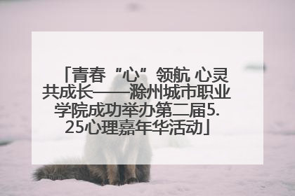 青春“心”领航 心灵共成长——滁州城市职业学院成功举办第二届5.25心理嘉年华活动