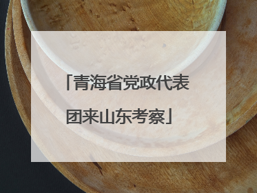 青海省党政代表团来山东考察