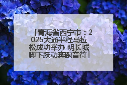 青海省西宁市：2025大通半程马拉松成功举办 明长城脚下跃动奔跑音符