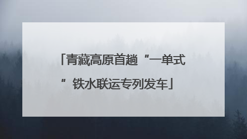 青藏高原首趟“一单式”铁水联运专列发车