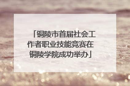 铜陵市首届社会工作者职业技能竞赛在铜陵学院成功举办