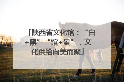 陕西省文化馆：“白+黑”“馆+景”，文化供给向美而聚