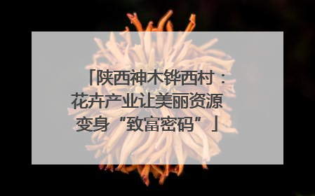 陕西神木铧西村：花卉产业让美丽资源变身“致富密码”