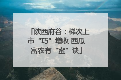 陕西府谷：梯次上市“巧”增收 西瓜富农有“蜜”诀