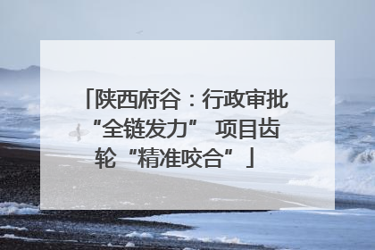 陕西府谷：行政审批“全链发力” 项目齿轮“精准咬合”