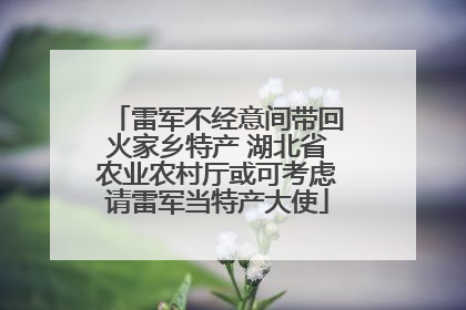 雷军不经意间带回火家乡特产 湖北省农业农村厅或可考虑请雷军当特产大使