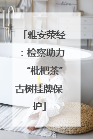 雅安荥经：检察助力“枇杷茶”古树挂牌保护