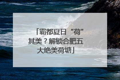 霸都夏日“荷”其美？解锁合肥五大绝美荷塘