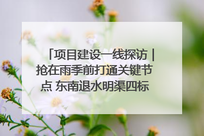 项目建设一线探访｜抢在雨季前打通关键节点 东南退水明渠四标段项目顺利完工