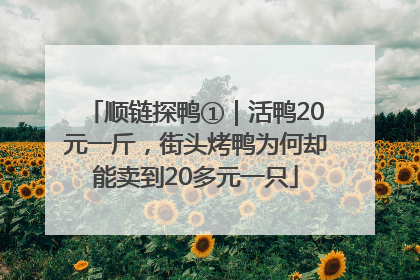 顺链探鸭①｜活鸭20元一斤，街头烤鸭为何却能卖到20多元一只