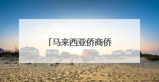 马来西亚侨商侨领广西研修 学中医看非遗谋发展