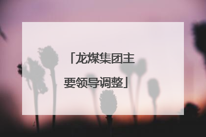 龙煤集团主要领导调整