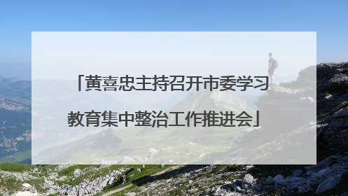 黄喜忠主持召开市委学习教育集中整治工作推进会