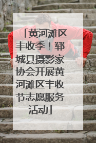 黄河滩区丰收季！郓城县摄影家协会开展黄河滩区丰收节志愿服务活动