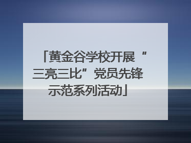 黄金谷学校开展“三亮三比”党员先锋示范系列活动