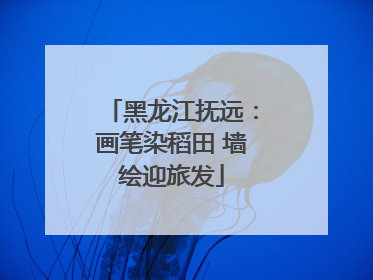 黑龙江抚远：画笔染稻田 墙绘迎旅发