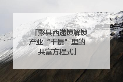 黟县西递镇解锁产业“丰景”里的共富方程式