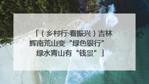 （乡村行·看振兴）吉林辉南荒山变“绿色银行” 绿水青山有“钱景”