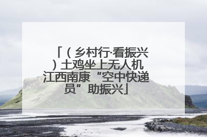 （乡村行·看振兴）土鸡坐上无人机 江西南康“空中快递员”助振兴