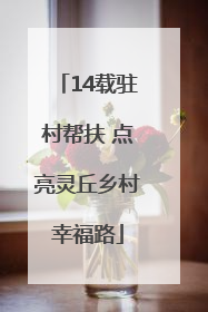 14载驻村帮扶 点亮灵丘乡村幸福路