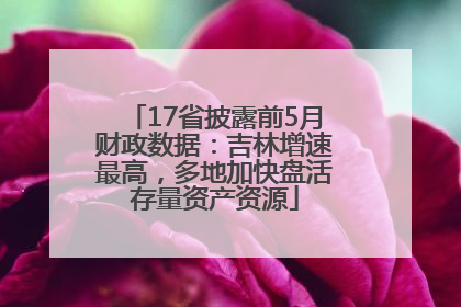 17省披露前5月财政数据：吉林增速最高，多地加快盘活存量资产资源