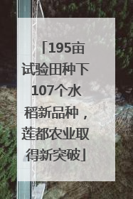 195亩试验田种下107个水稻新品种，莲都农业取得新突破