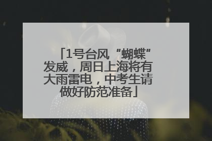 1号台风“蝴蝶”发威，周日上海将有大雨雷电，中考生请做好防范准备