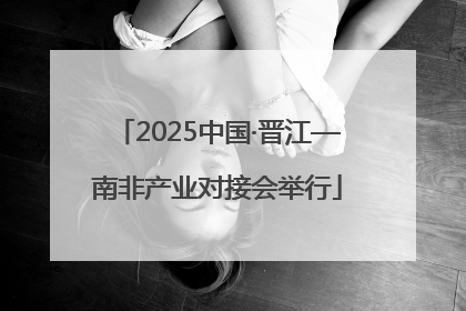 2025中国·晋江—南非产业对接会举行