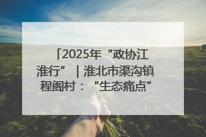 2025年“政协江淮行”｜淮北市渠沟镇程阁村：“生态痛点”变“生态景观”