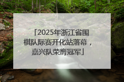 2025年浙江省围棋队际赛开化站落幕，嘉兴队荣膺冠军
