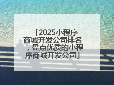 2025小程序商城开发公司排名，盘点优质的小程序商城开发公司