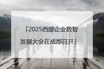 2025西部企业数智发展大会在成都召开