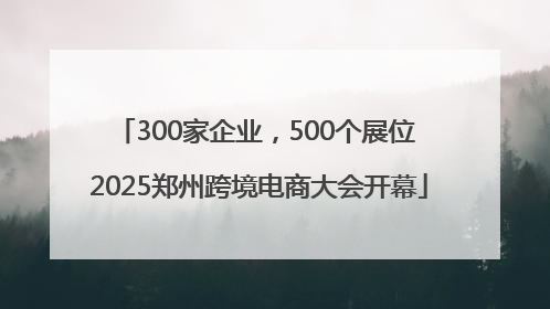 300家企业，500个展位 2025郑州跨境电商大会开幕