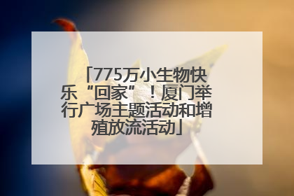 775万小生物快乐“回家”！厦门举行广场主题活动和增殖放流活动