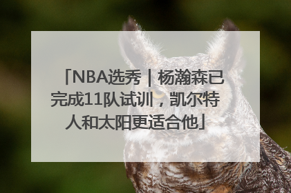 NBA选秀｜杨瀚森已完成11队试训，凯尔特人和太阳更适合他