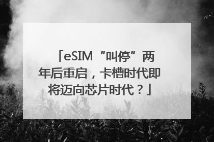 eSIM“叫停”两年后重启，卡槽时代即将迈向芯片时代？